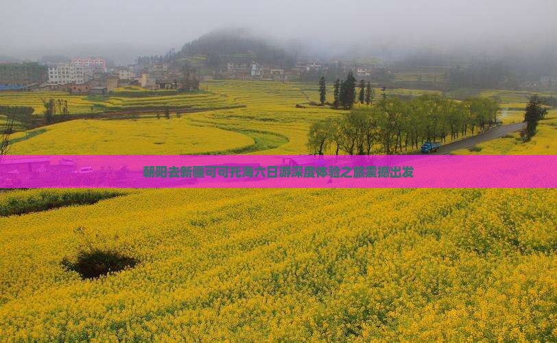 朝阳去新疆可可托海六日游