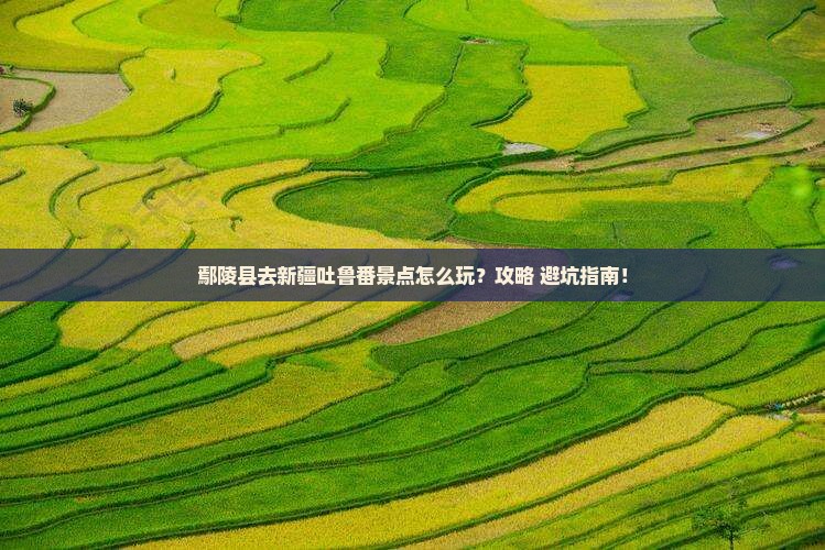 鄢陵县去新疆吐鲁番景点