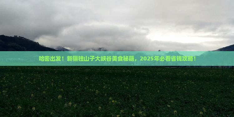 哈密到新疆独山子大峡谷旅游小吃