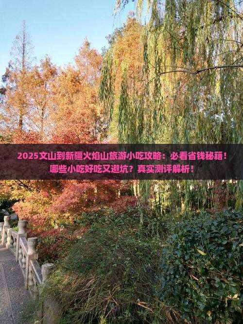 文山到新疆火焰山旅游小吃
