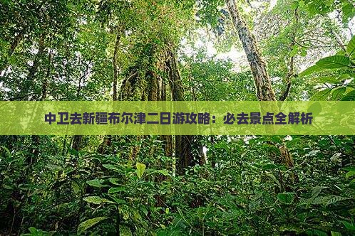 中卫去新疆布尔津二日游