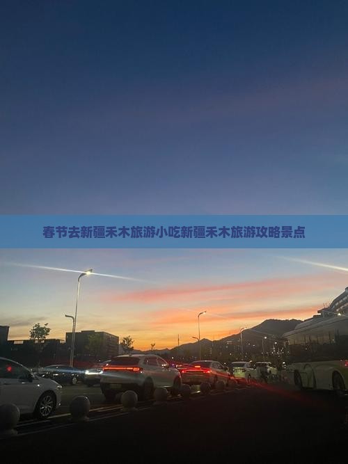 春节去新疆禾木旅游小吃