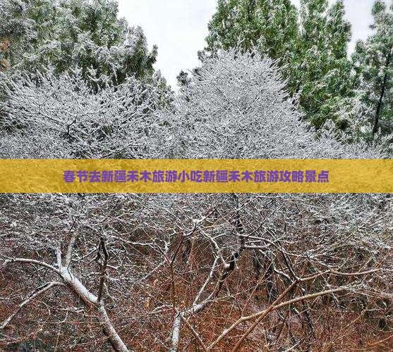 春节去新疆禾木旅游小吃