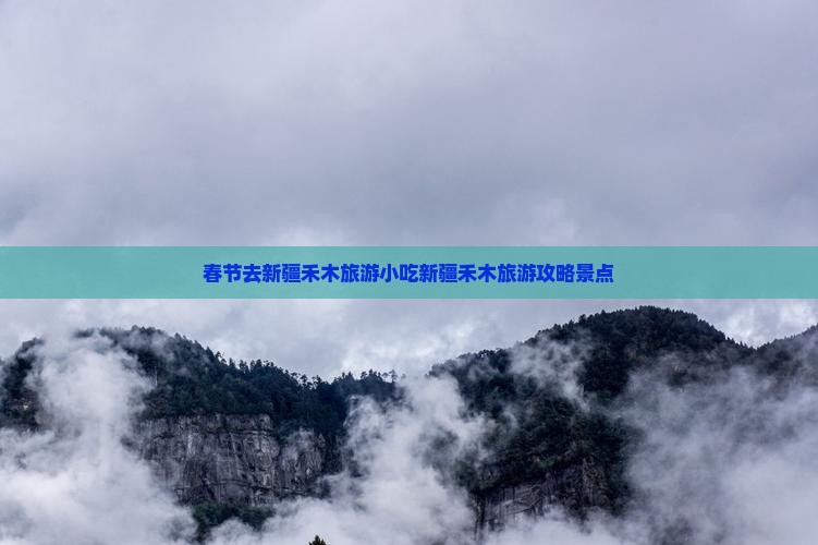 春节去新疆禾木旅游小吃