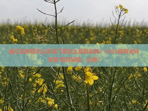 通辽去新疆天山天池门票
