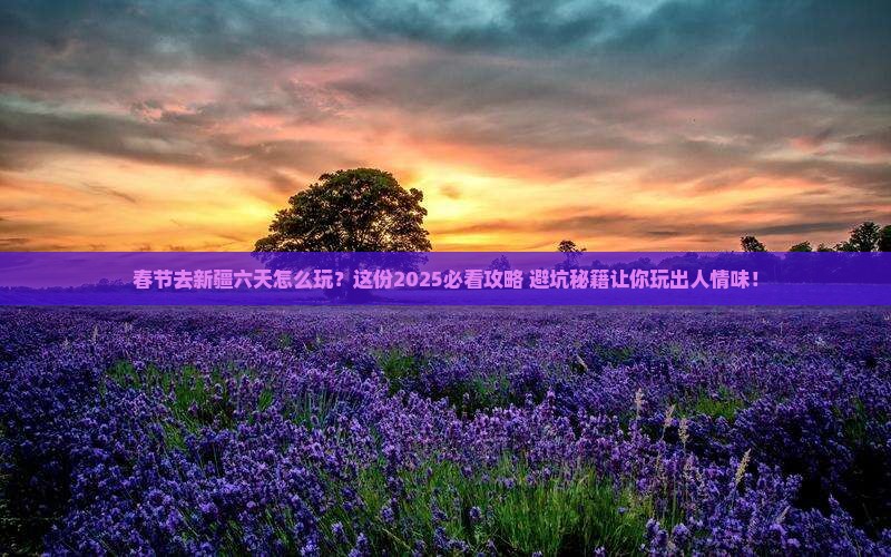 春节到新疆六日游