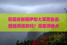 和田去新疆伊犁大草原自由团