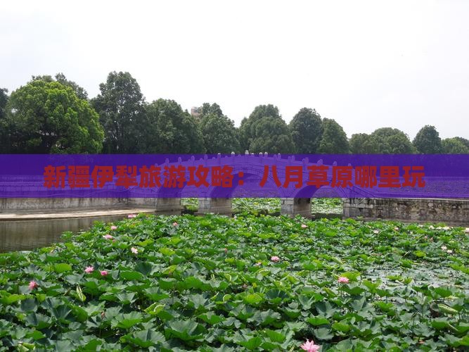 八月到新疆伊犁大草原哪里玩