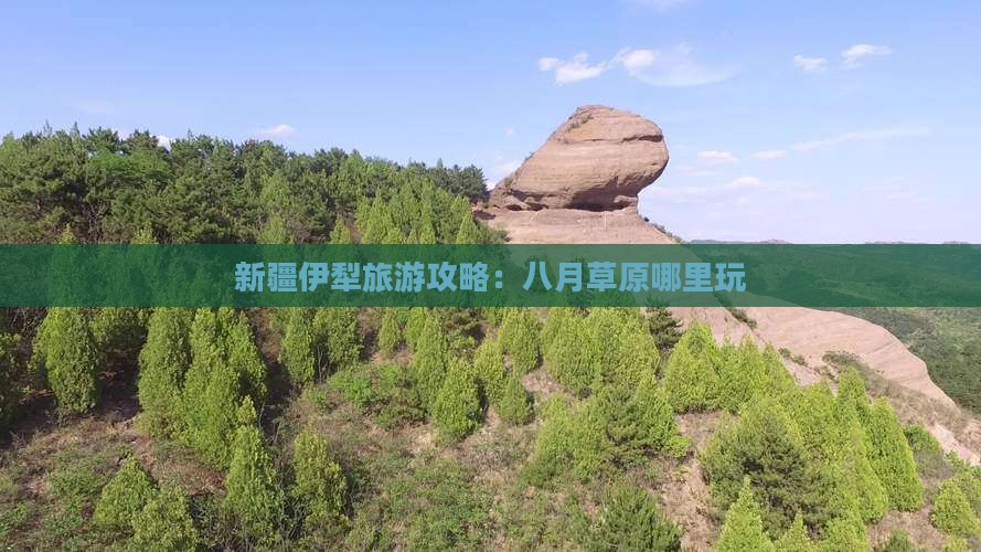 八月到新疆伊犁大草原哪里玩