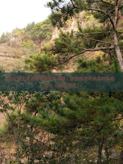连云港到新疆伊犁大草原必去地