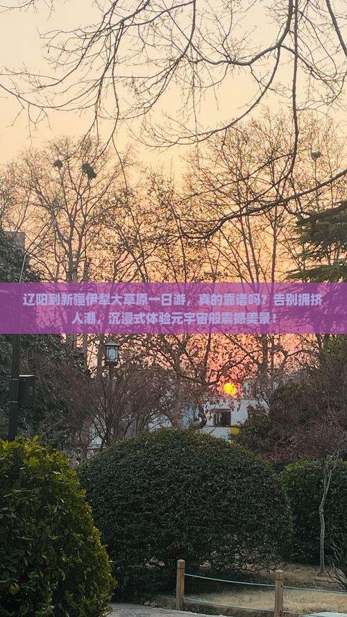 辽阳到新疆伊犁大草原一日