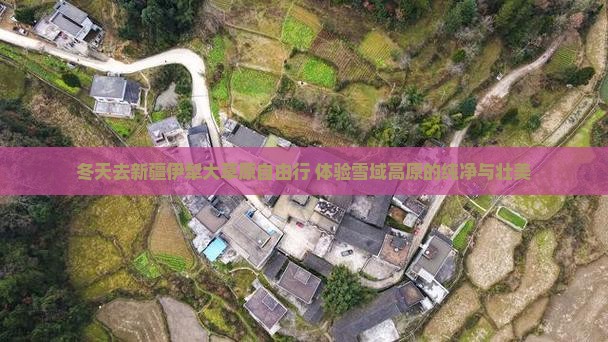 冬天去新疆伊犁大草原自由行