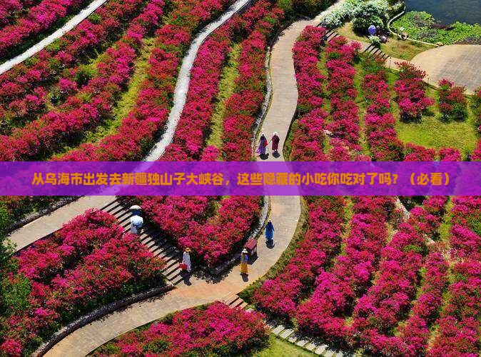 乌海市去新疆独山子大峡谷旅游小吃