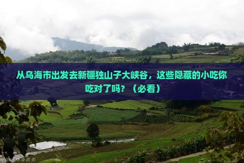 乌海市去新疆独山子大峡谷旅游小吃