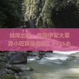 蚌埠去新疆伊犁大草原旅游小吃