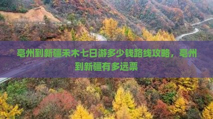 亳州到新疆禾木七日游