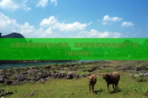 丽水到新疆伊犁大草原旅行社