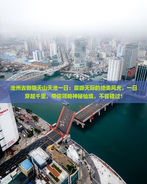 池州去新疆天山天池一日