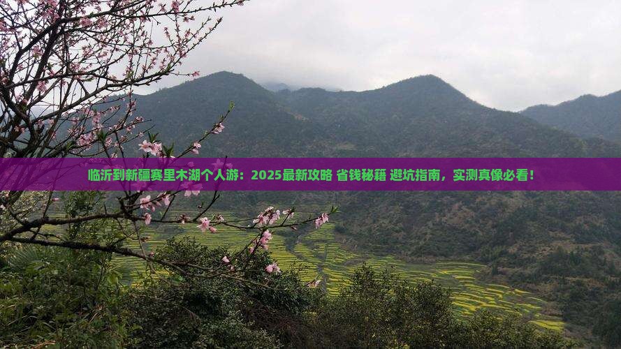 临沂到新疆赛里木湖个人游