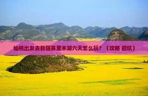 仙桃去新疆赛里木湖六日游