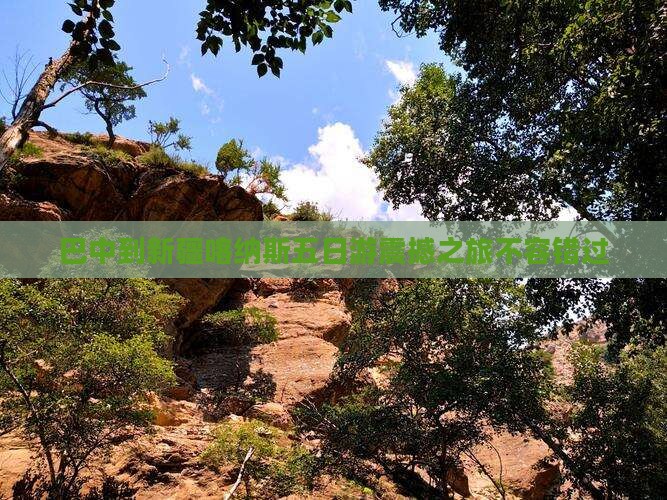 巴中到新疆喀纳斯五日游