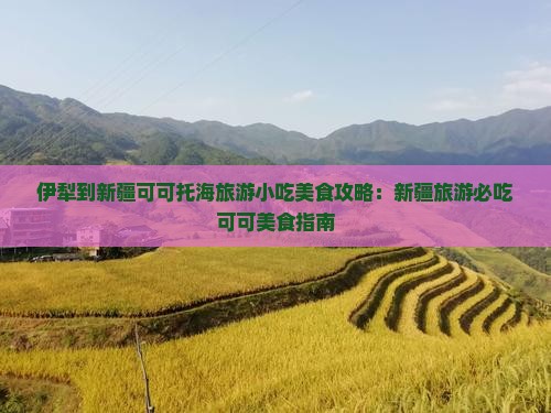 伊犁到新疆可可托海旅游小吃