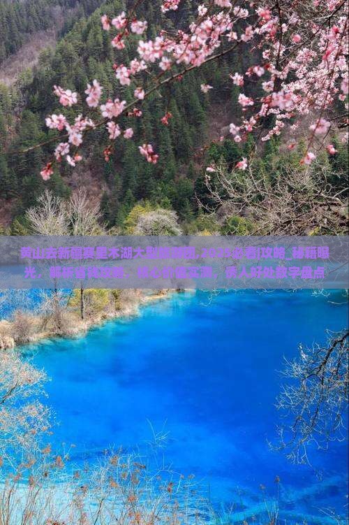 黄山去新疆赛里木湖大型旅游团