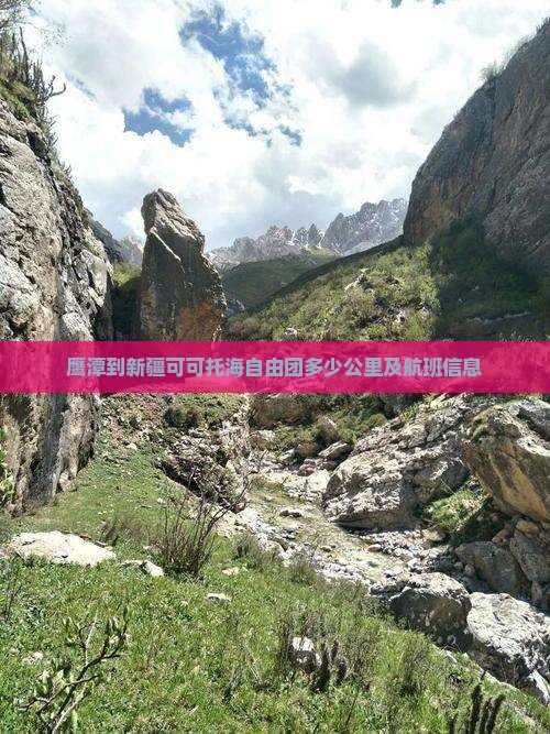 鹰潭到新疆可可托海自由团