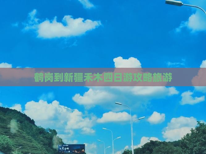 鹤岗到新疆禾木四日游