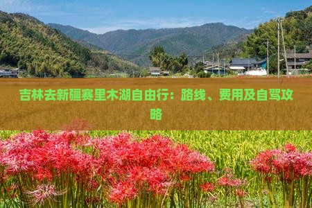 吉林去新疆赛里木湖自由行