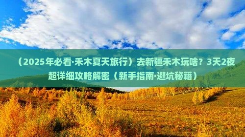 夏天到新疆禾木攻略