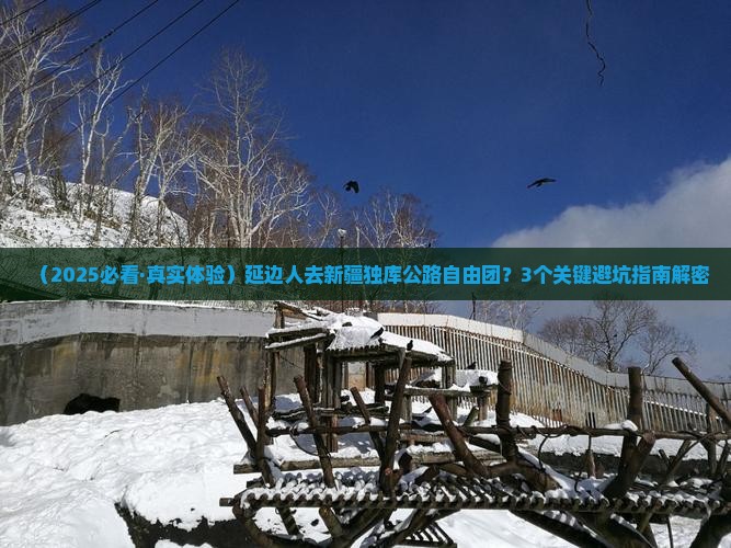 延边去新疆独库公路自由团