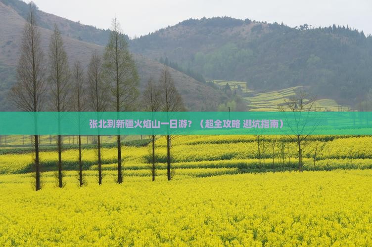 张北去新疆火焰山一日