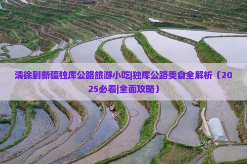 清徐到新疆独库公路旅游小吃