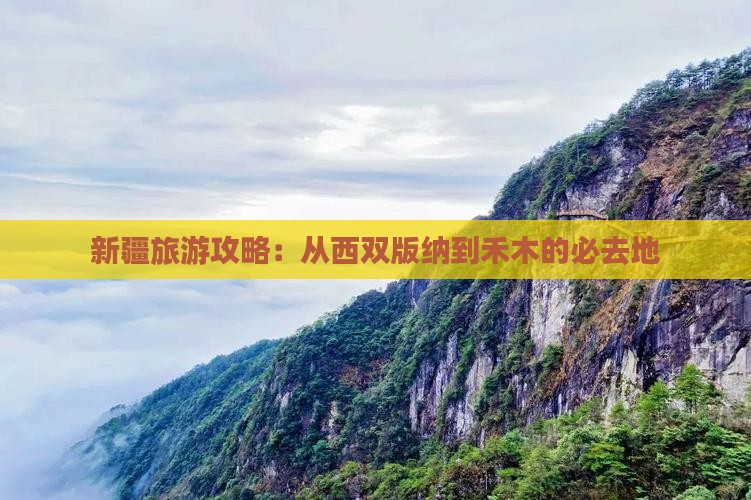 西双版纳去新疆禾木必去地