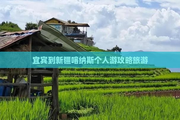 宜宾到新疆喀纳斯个人游