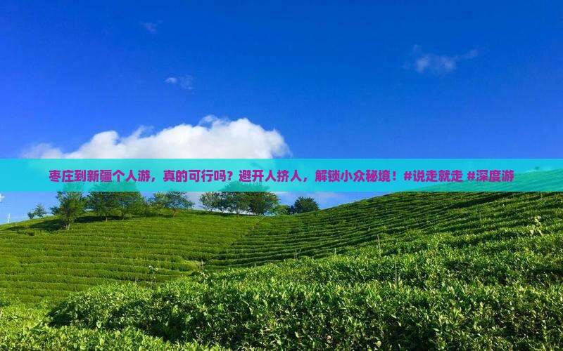 枣庄到新疆个人游