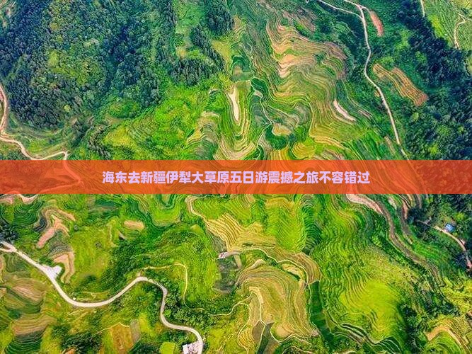 海东去新疆伊犁大草原五日游