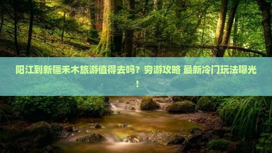 阳江到新疆禾木旅游