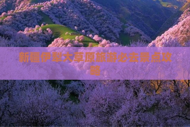 佳木斯去新疆伊犁大草原必去地