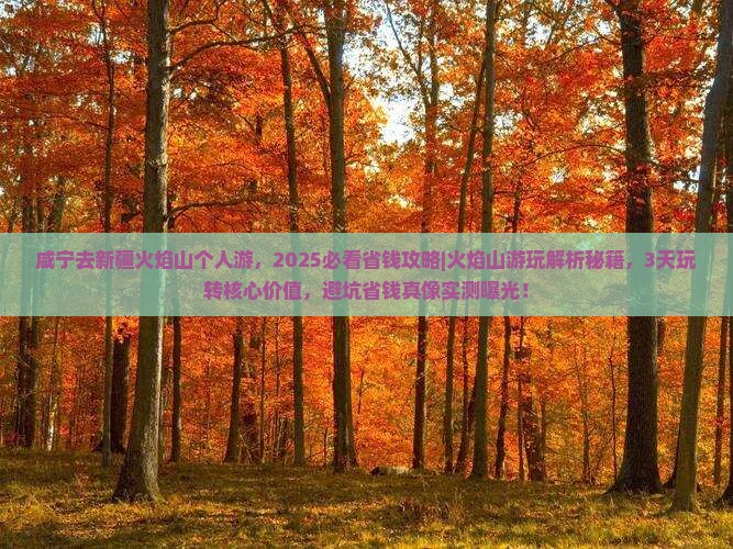 咸宁去新疆火焰山个人游