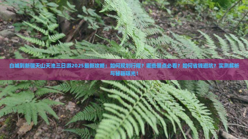 白城到新疆天山天池三日游