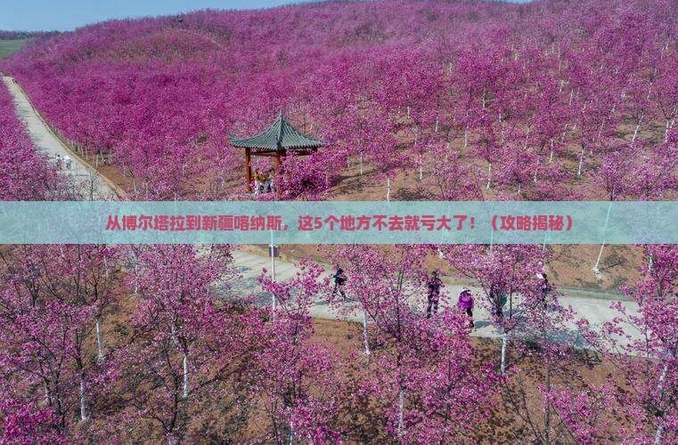 博尔塔拉到新疆喀纳斯必去地