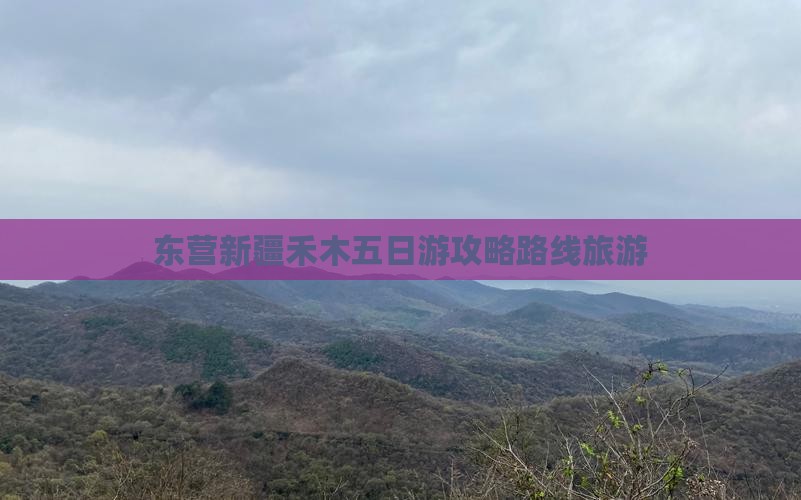 东营去新疆禾木五日游