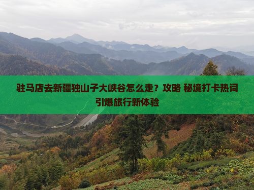 驻马店去新疆独山子大峡谷景点