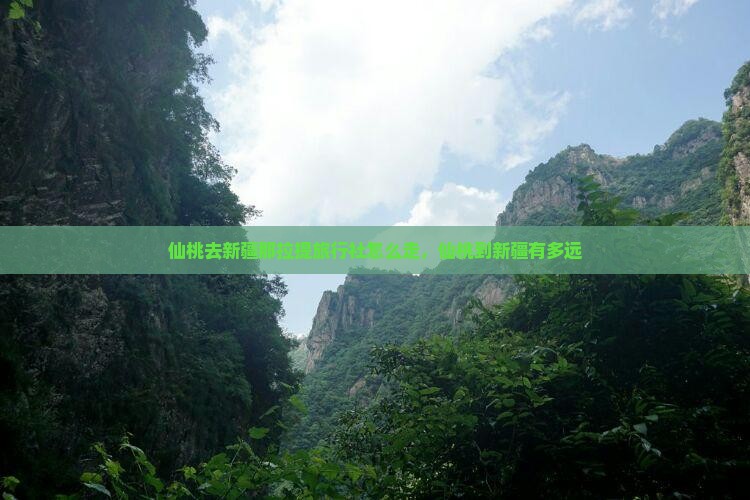 仙桃去新疆那拉提旅行社