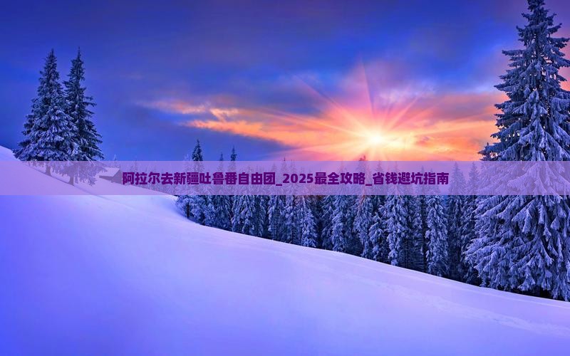 阿拉尔去新疆吐鲁番自由团