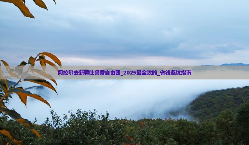 阿拉尔去新疆吐鲁番自由团