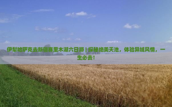 伊犁哈萨克去新疆赛里木湖六日游