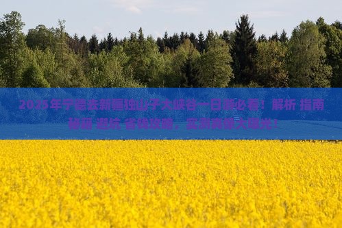 宁德去新疆独山子大峡谷一日